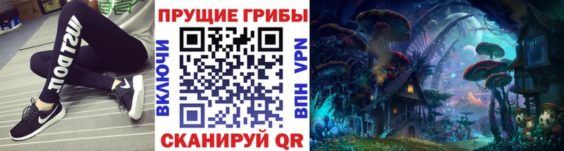 Псилоцибиновые грибы Magic Shrooms Ясногорск