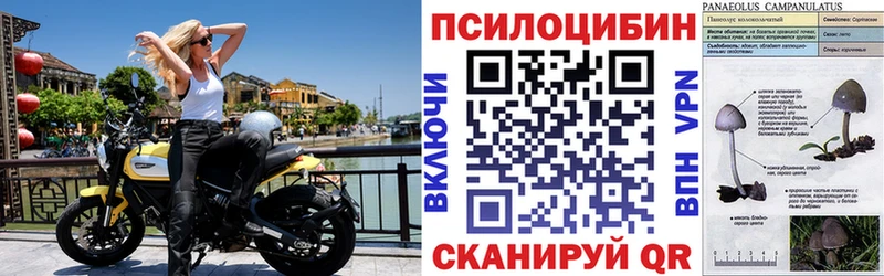 Псилоцибиновые грибы прущие грибы  Ясногорск 